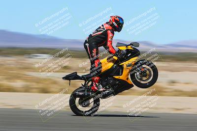 media/Mar-12-2022-SoCal Trackdays (Sat) [[152081554b]]/Back Straight Speed Shots (1045am)/